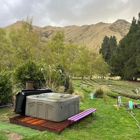 Danseys Pass Lavender Farm Villa Tokarahi Dış mekan fotoğraf